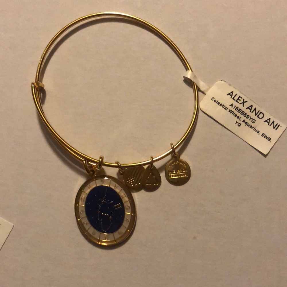 Alex and ani Aquarius bracket
